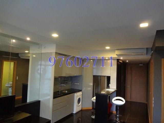 Icon (D2), Apartment #160520252